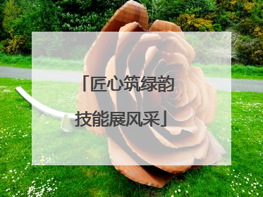 匠心筑绿韵 技能展风采
