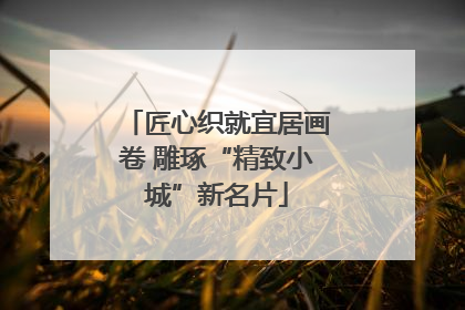 匠心织就宜居画卷 雕琢“精致小城”新名片