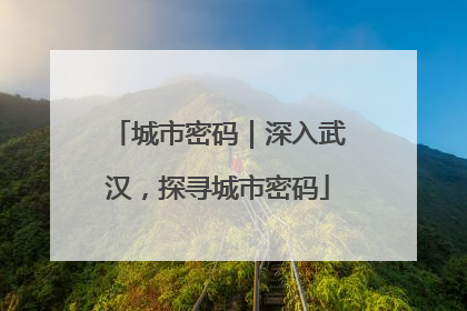 城市密码｜深入武汉，探寻城市密码