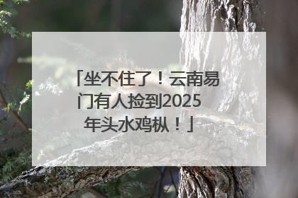 坐不住了！云南易门有人捡到2025年头水鸡枞！