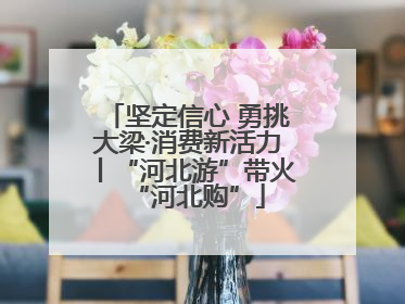 坚定信心 勇挑大梁·消费新活力丨“河北游”带火“河北购”