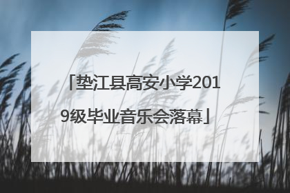 垫江县高安小学2019级毕业音乐会落幕