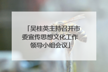 吴桂英主持召开市委宣传思想文化工作领导小组会议