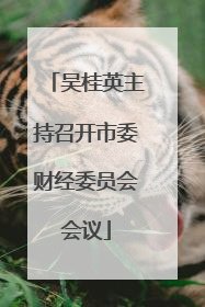 吴桂英主持召开市委财经委员会会议