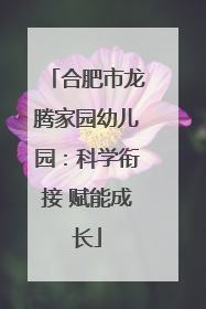 合肥市龙腾家园幼儿园：科学衔接 赋能成长