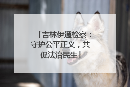 吉林伊通检察：守护公平正义，共促法治民生