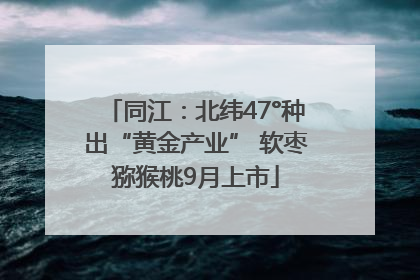 同江：北纬47°种出“黄金产业” 软枣猕猴桃9月上市