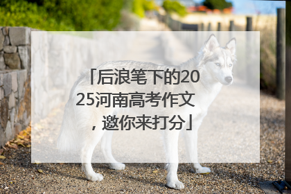后浪笔下的2025河南高考作文，邀你来打分