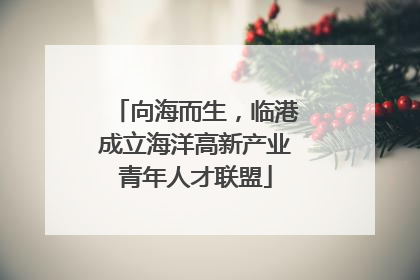 向海而生，临港成立海洋高新产业青年人才联盟