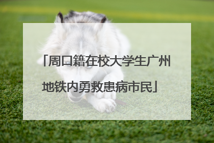 周口籍在校大学生广州地铁内勇救患病市民