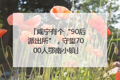 咸宁有个“90后派出所”，守望7000人鄂南小镇