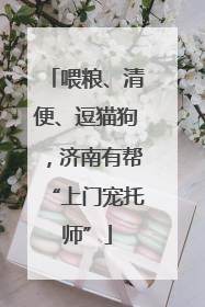 喂粮、清便、逗猫狗，济南有帮“上门宠托师”