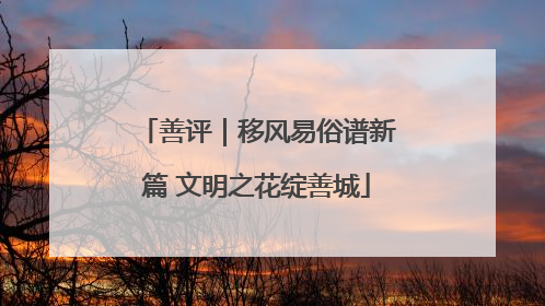 善评｜移风易俗谱新篇 文明之花绽善城