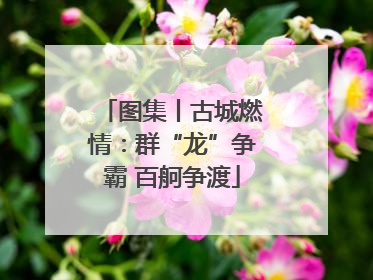 图集丨古城燃情：群“龙”争霸 百舸争渡