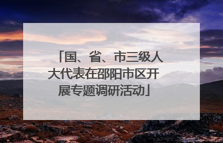 国、省、市三级人大代表在邵阳市区开展专题调研活动