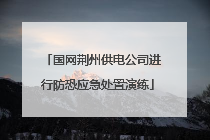 国网荆州供电公司进行防恐应急处置演练