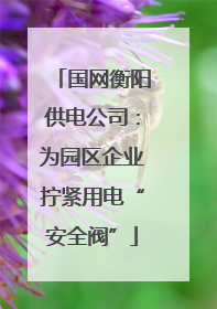 国网衡阳供电公司：为园区企业拧紧用电“安全阀”