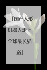 国产人形机器人走上全球最长猫道