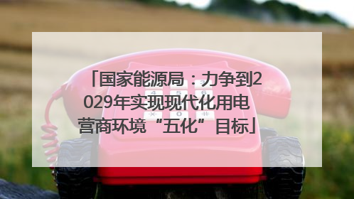 国家能源局：力争到2029年实现现代化用电营商环境“五化”目标