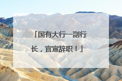 国有大行一副行长，官宣辞职！