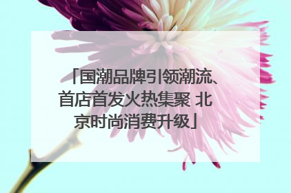 国潮品牌引领潮流、首店首发火热集聚 北京时尚消费升级