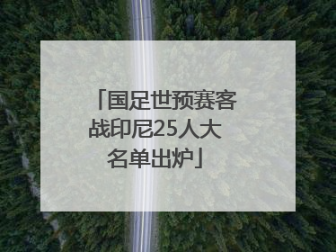 国足世预赛客战印尼25人大名单出炉