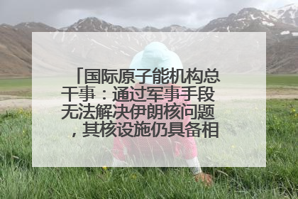 国际原子能机构总干事：通过军事手段无法解决伊朗核问题，其核设施仍具备相关产能，只需要数月就能生产出浓缩铀