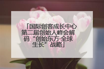 国际创客成长中心第二届创始人峰会解码“创始东方·全球生长”战略
