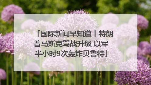国际新闻早知道丨特朗普马斯克骂战升级 以军半小时9次轰炸贝鲁特