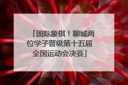 国际象棋！聊城两位学子晋级第十五届全国运动会决赛