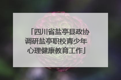 四川省盐亭县政协调研盐亭职校青少年心理健康教育工作