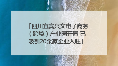 四川宜宾兴文电子商务（跨境）产业园开园 已吸引20余家企业入驻