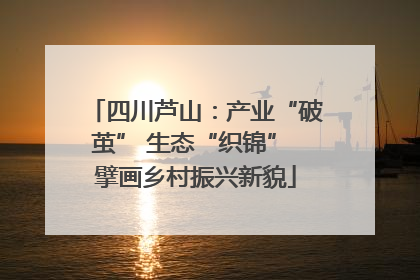 四川芦山：产业“破茧” 生态“织锦” 擘画乡村振兴新貌