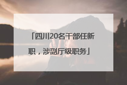 四川20名干部任新职，涉副厅级职务
