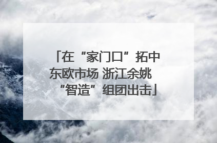 在“家门口”拓中东欧市场 浙江余姚“智造”组团出击