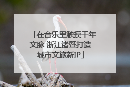 在音乐里触摸千年文脉 浙江诸暨打造城市文旅新IP