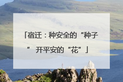 宿迁：种安全的“种子” 开平安的“花”