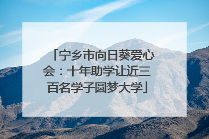 宁乡市向日葵爱心会：十年助学让近三百名学子圆梦大学