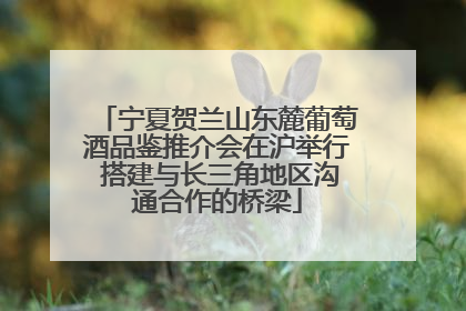 宁夏贺兰山东麓葡萄酒品鉴推介会在沪举行 搭建与长三角地区沟通合作的桥梁