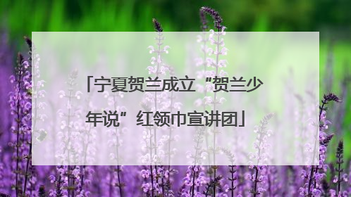 宁夏贺兰成立“贺兰少年说”红领巾宣讲团