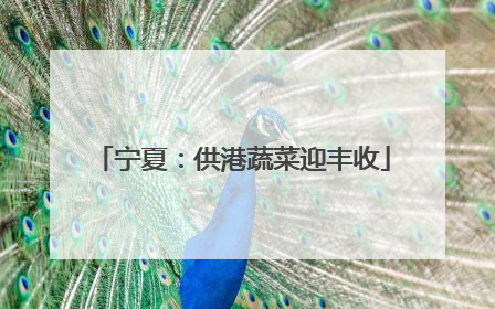 宁夏：供港蔬菜迎丰收
