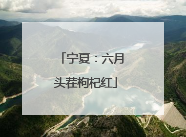 宁夏：六月头茬枸杞红