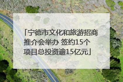 宁德市文化和旅游招商推介会举办 签约15个项目总投资逾15亿元