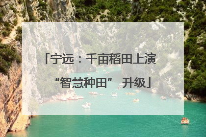 宁远：千亩稻田上演 “智慧种田” 升级
