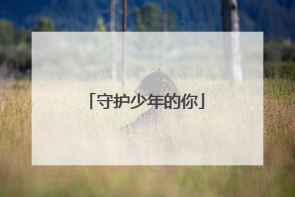 守护少年的你