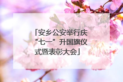 安乡公安举行庆“七一”升国旗仪式暨表彰大会