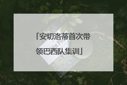 安切洛蒂首次带领巴西队集训
