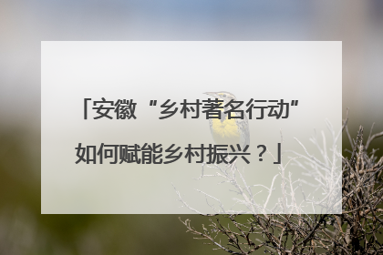 安徽“乡村著名行动”如何赋能乡村振兴？