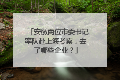 安徽两位市委书记率队赴上海考察，去了哪些企业？