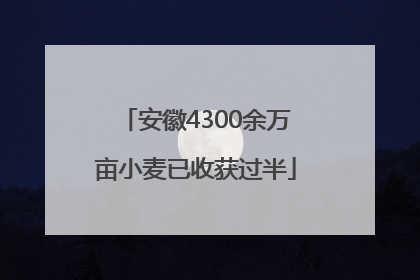 安徽4300余万亩小麦已收获过半